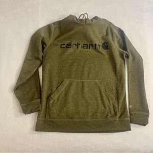 Carhartt Force Extremes Signature Graphic Hooded Sweatshirt